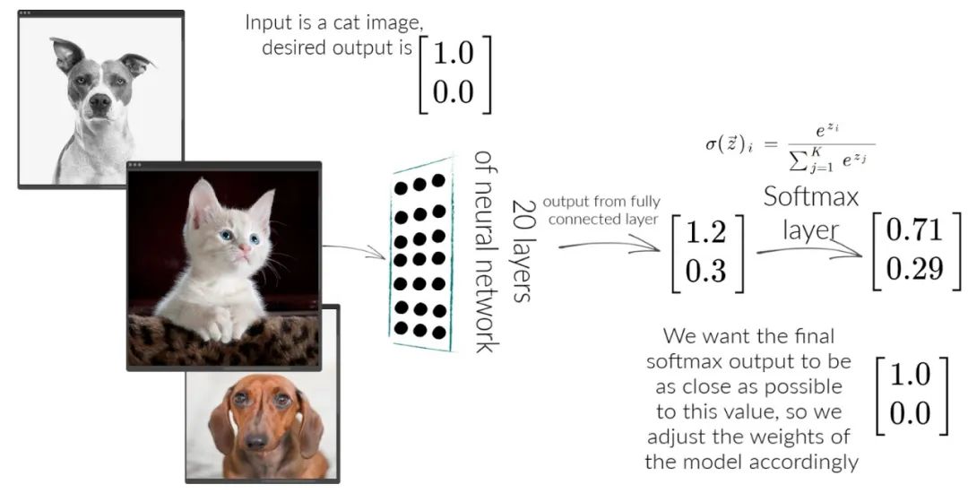 Cross Entropy Loss